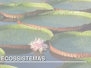 ecossistemas