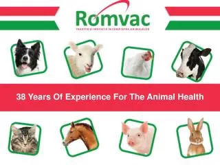 38 Years Of Experience For The Animal Health