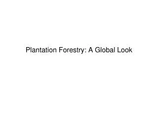 Plantation Forestry: A Global Look