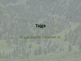 tajga