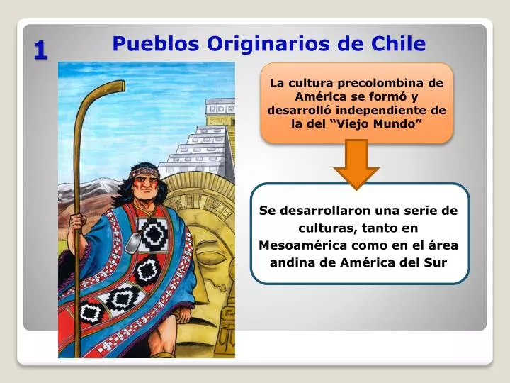 pueblos originarios de chile