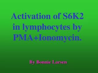 Activation of S6K2 in lymphocytes by PMA+Ionomycin.