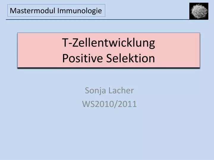 t zellentwicklung positive selektion