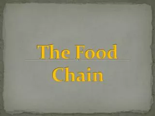 The Food Chain