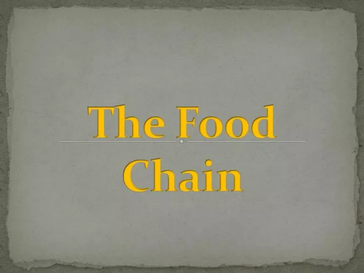 the food chain