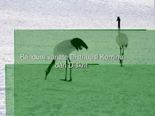 random variate distribusi kontinu dan diskrit