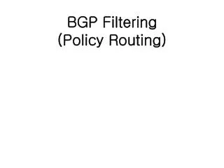 BGP Filtering (Policy Routing)