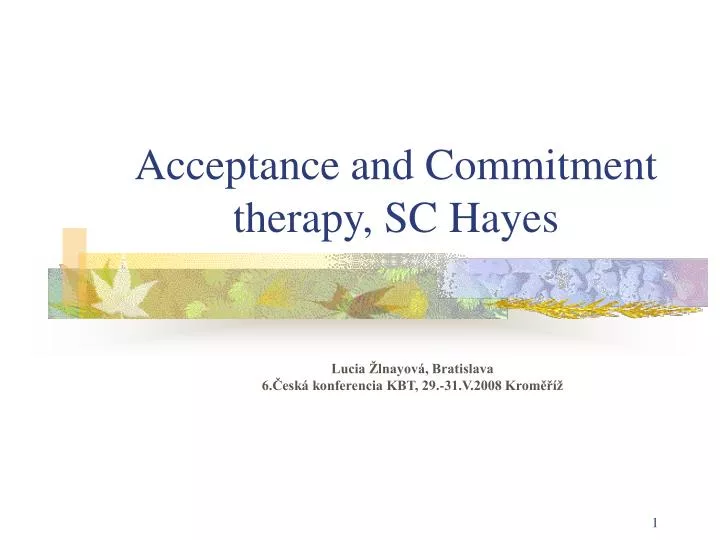 acceptance and commitment therapy sc hayes