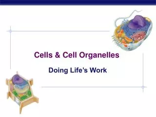 Cells &amp; Cell Organelles