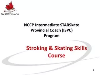 Stroking &amp; Skating Skills Course