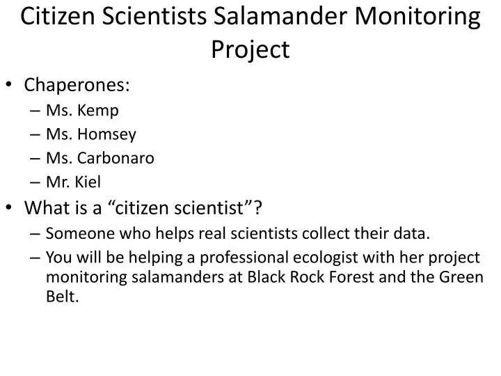 citizen scientists salamander monitoring project