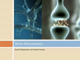 Micro-Neuroscience