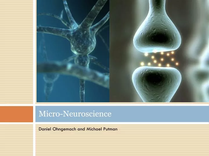 micro neuroscience