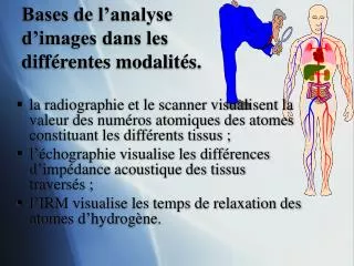 bases de l analyse d images dans les diff rentes modalit s