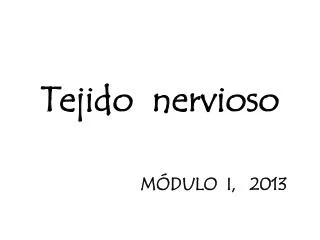 tejido nervioso