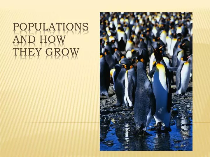 populations and how they grow