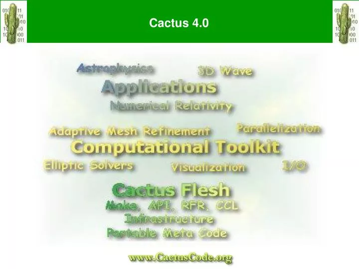 cactus 4 0