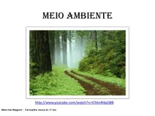 meio ambiente