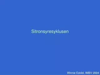 sitronsyresyklusen