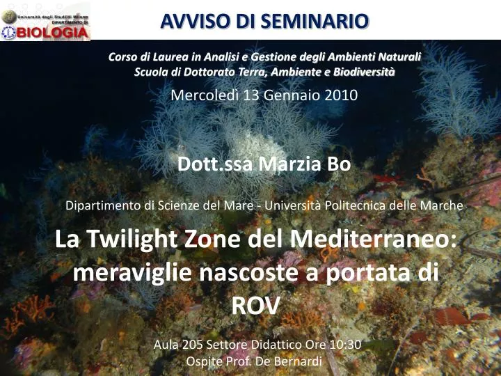 la twilight zone del mediterraneo meraviglie nascoste a portata di rov