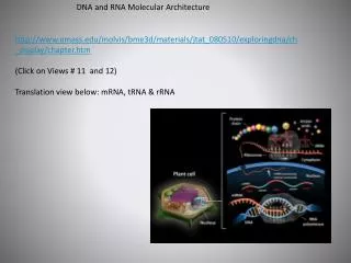 DNA and RNA Molecular Architecture