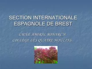 section internationale espagnole de brest