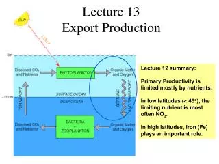 Lecture 13 Export Production