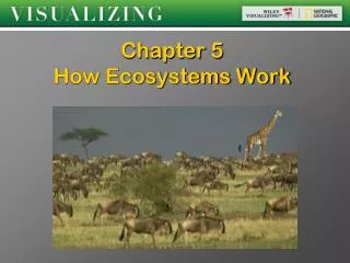 Chapter 5 How Ecosystems Work