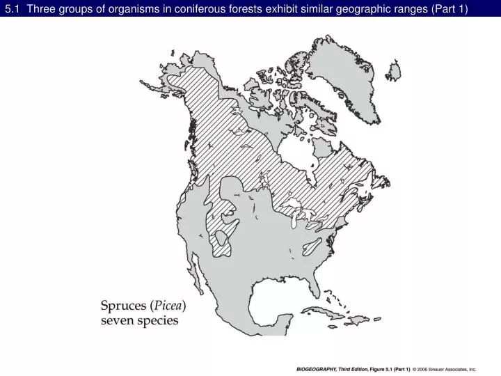 5 1 three groups of organisms in coniferous forests exhibit similar geographic ranges part 1