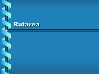 rutarea