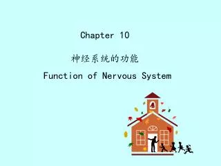 chapter 10 function of nervous system