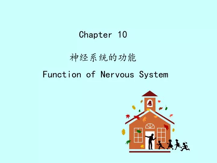 chapter 10 function of nervous system