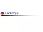 Embriologia - slide 1