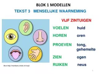 blok 1 modellen