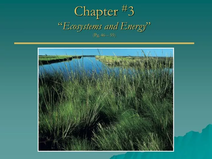 chapter 3 ecosystems and energy pg 46 55