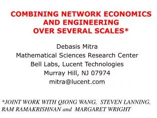 COMBINING NETWORK ECONOMICS AND ENGINEERING OVER SEVERAL SCALES*