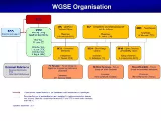 WGSE Organisation