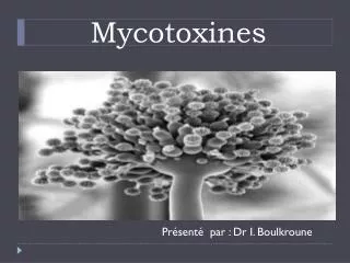 mycotoxines