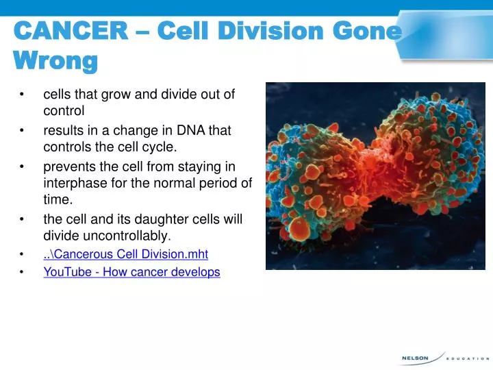 cancer cell division gone wrong