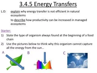 3.4.5 Energy Transfers