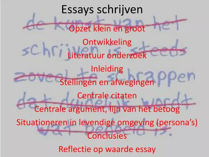 essays schrijven