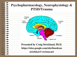 Psychopharmacology, Neurophysiology &amp; PTSD/Trauma