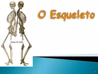 o esqueleto