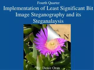 Implementation of Least Significant Bit Image Steganography and its Steganalaysis