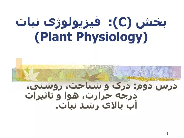 c plant physiology