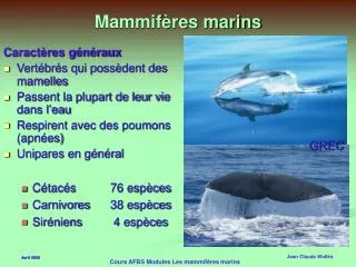 mammif res marins