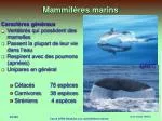 Mammifères marins - slide 1