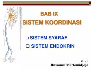 sistem koordinasi