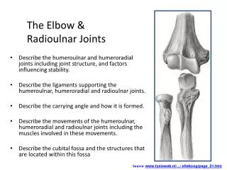 The Elbow &amp; Radioulnar Joints