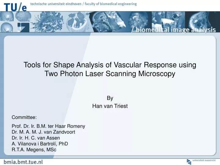 tools for shape analysis of vascular response using two photon laser scanning microscopy